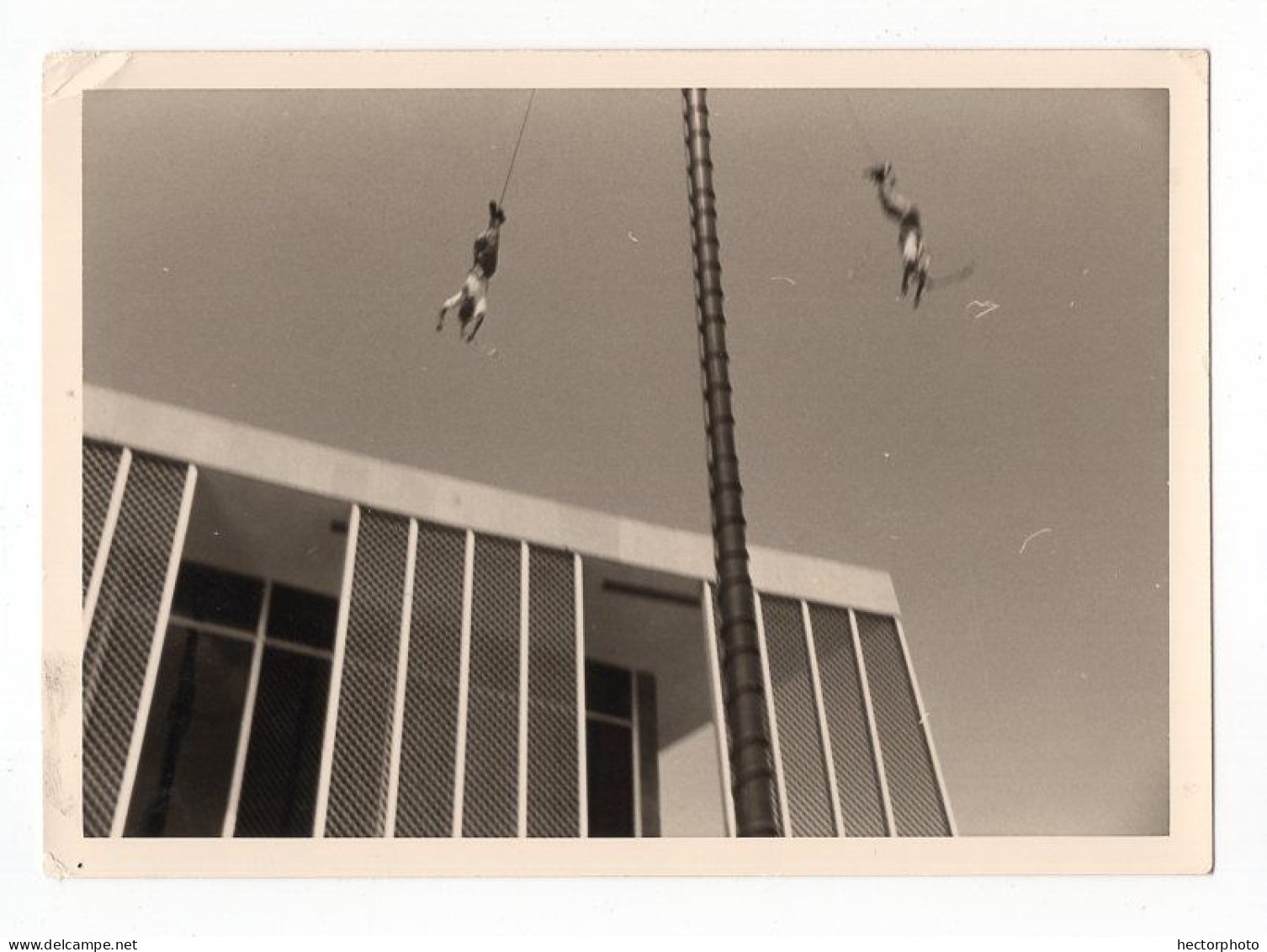 Snapshot Etrane Acrobatie Saut De L'ange Poteau Acrobate 70s 60s Composition Rare Saut - Personnes Anonymes