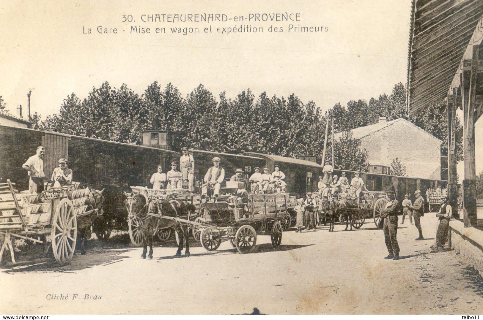 13 - Chateaurenard En Provence - La Gare - Mise En Wagon Et Expédition Des Primeurs - Chateaurenard