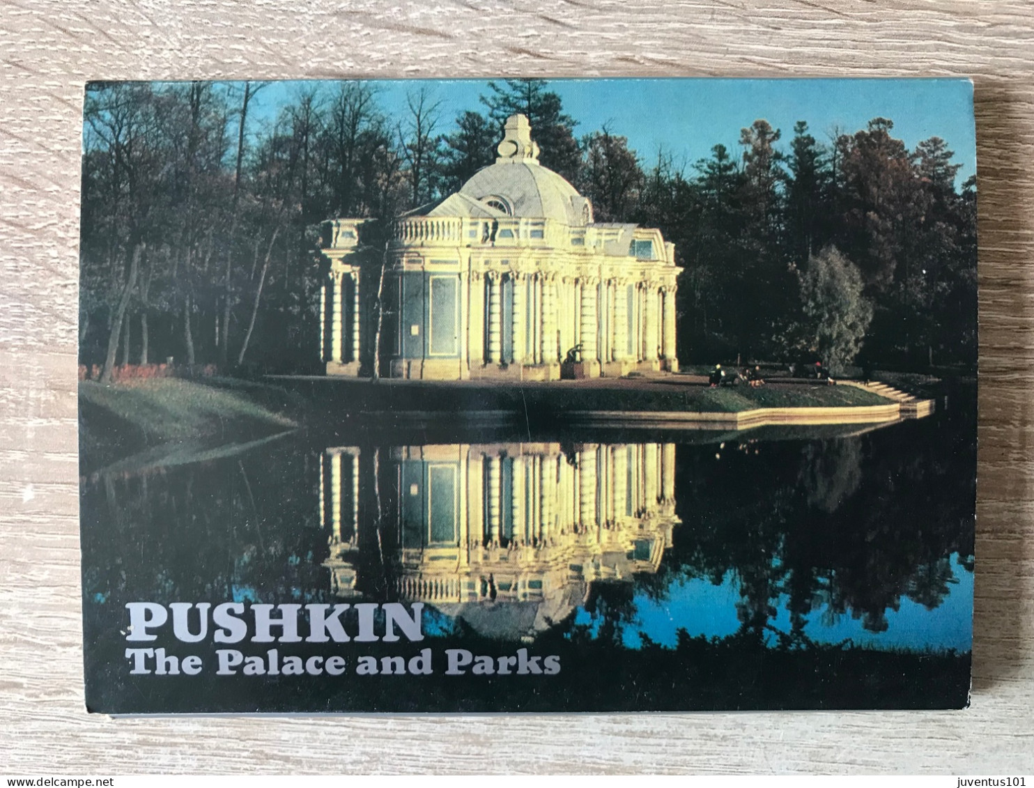 Carnet 16 CPSM Pouchkine-Pushkine The Palace And Parks - Russie