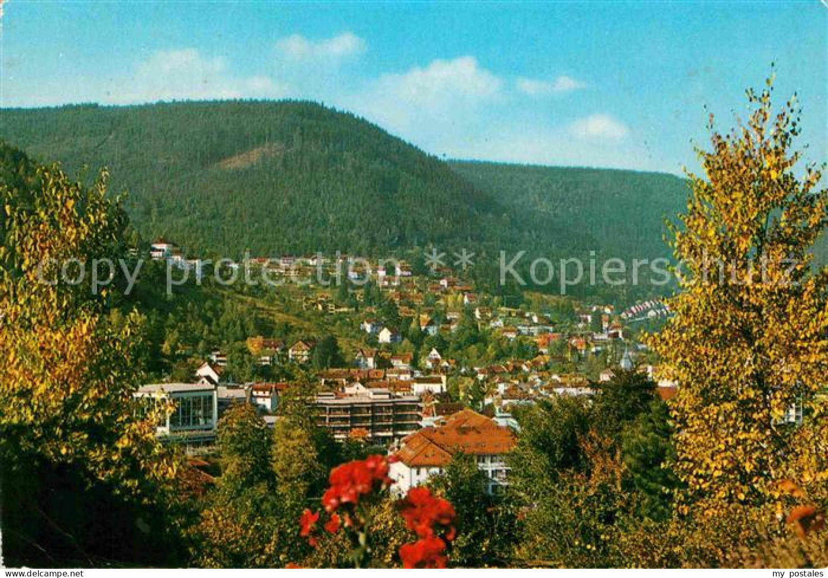 72694599 Wildbad Schwarzwald Panorama Bad Wildbad - Sonstige & Ohne Zuordnung