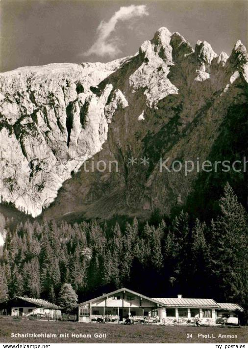 72694116 Scharitzkehlalm Mit Hohem Goell Berchtesgadener Alpen Scharitzkehlalm - Berchtesgaden