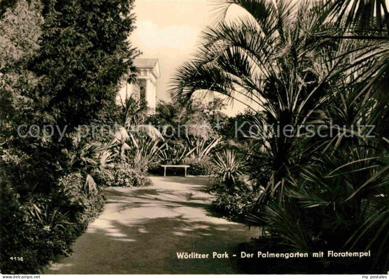 72693987 Woerlitz Woerlitzer Park Palmengarten Mit Floratempel Woerlitz - Autres & Non Classés