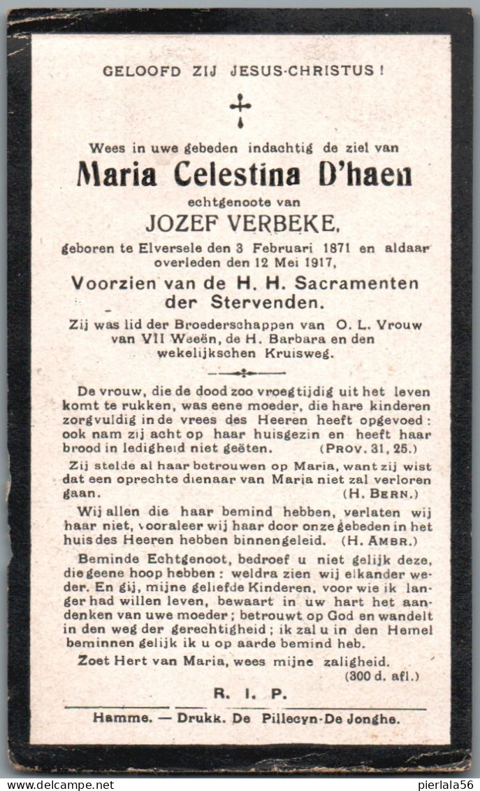 Bidprentje Elversele - D'Haen Maria Celestina (1871-1917) - Images Religieuses