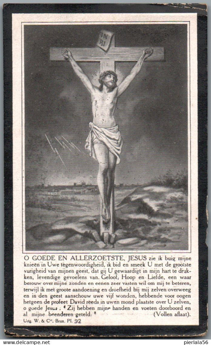 Bidprentje Elversele - D'Haen Maria Celestina (1871-1917) - Images Religieuses