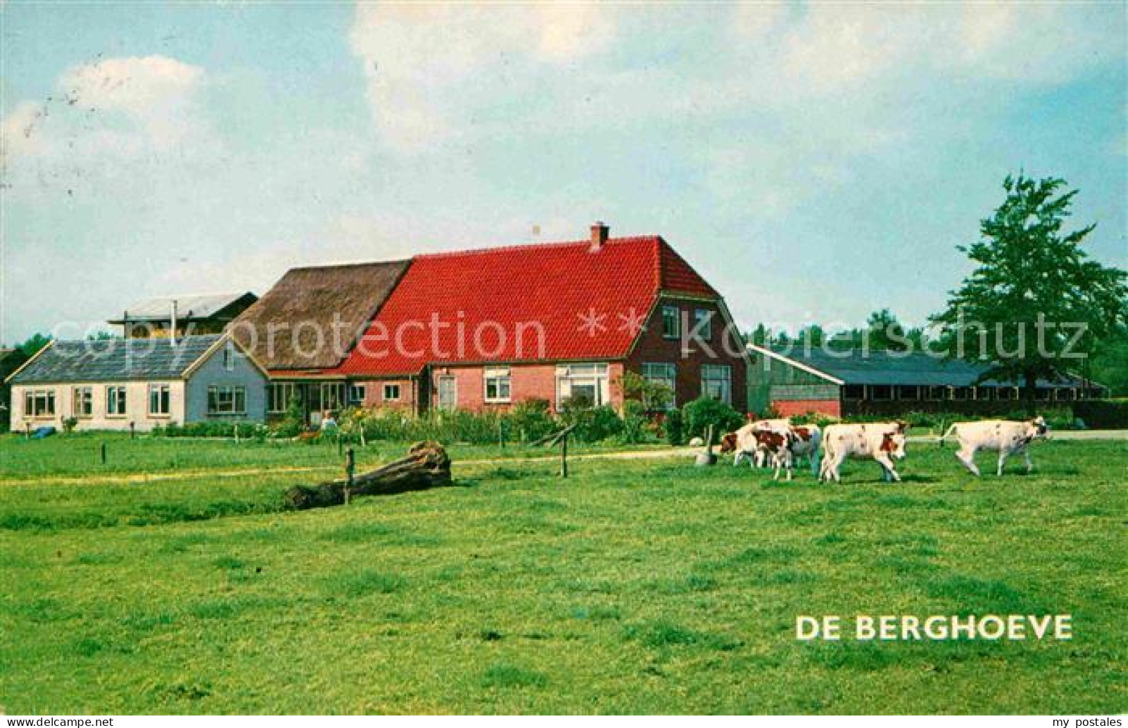 72693951 Epe Gelderland Kampeerboerderij De Berghoeve Urlaub Auf Dem Bauernhof K - Sonstige & Ohne Zuordnung