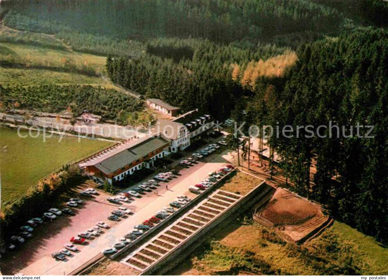 72693882 Muenstereifel Bad Waldhaus Hochwild-Schutzpark Rothaargebirge Deutsche  - Bad Muenstereifel