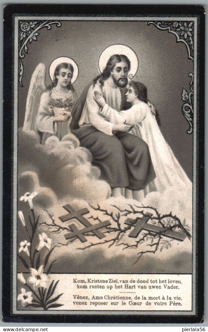 Bidprentje Elversele - D'Hooge Petrus Franciscus (1828-1905) - Images Religieuses