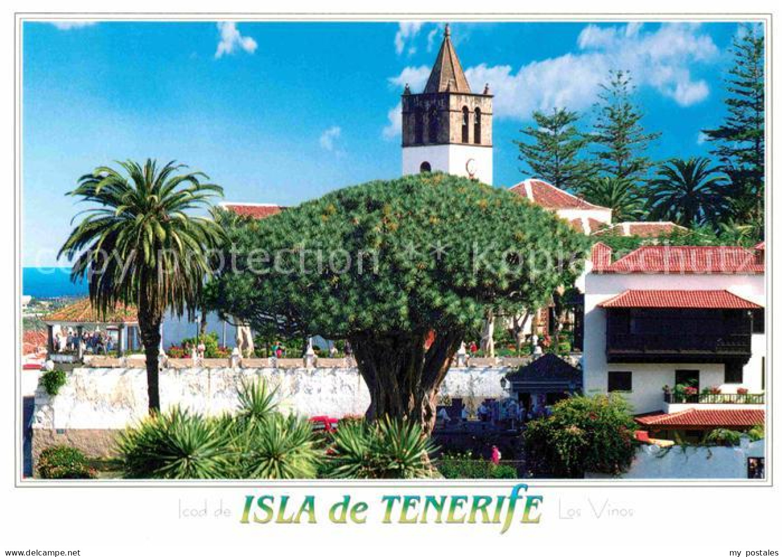72693402 Tenerife Los Vinos Islas Canarias Spanien - Autres & Non Classés