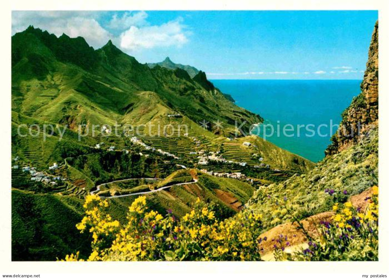 72693396 Tenerife Panorama Islas Canarias Spanien - Sonstige & Ohne Zuordnung