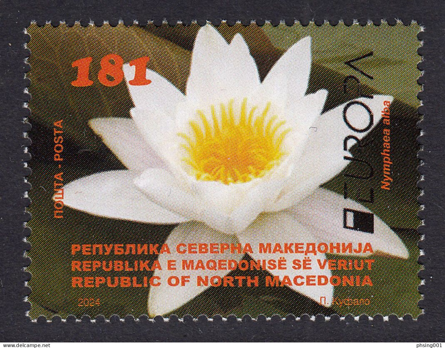 North Macedonia 2024 Europa CEPT Underwater Fauna & Flora Flower Nympaea Alba MNH - Noord-Macedonië