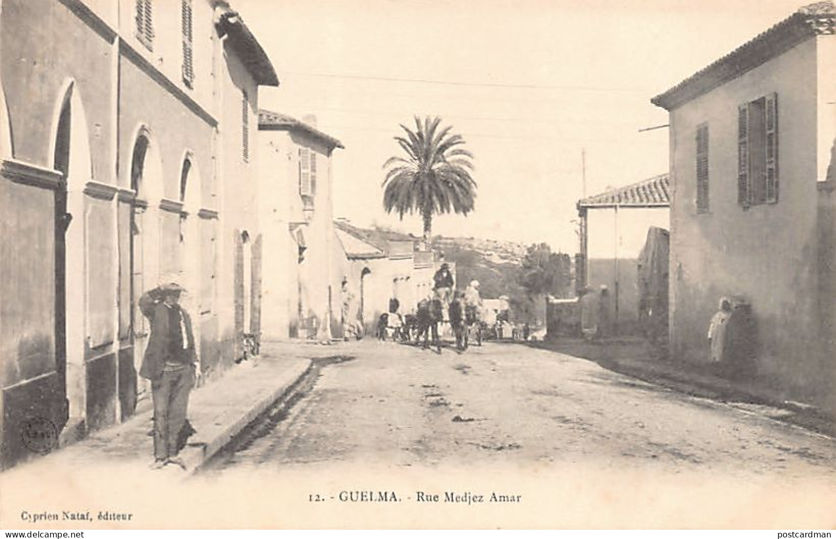 GUELMA - Rue Medjez Amar - Guelma