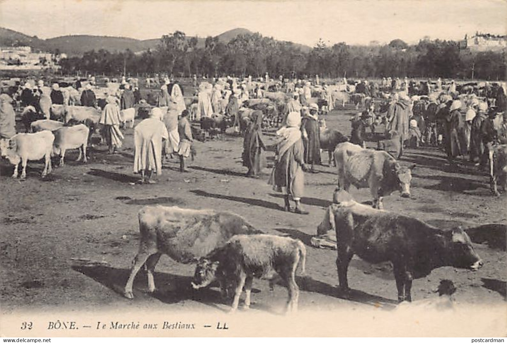 BÔNE Annaba - Le Marché Aux Bestiaux - Annaba (Bône)