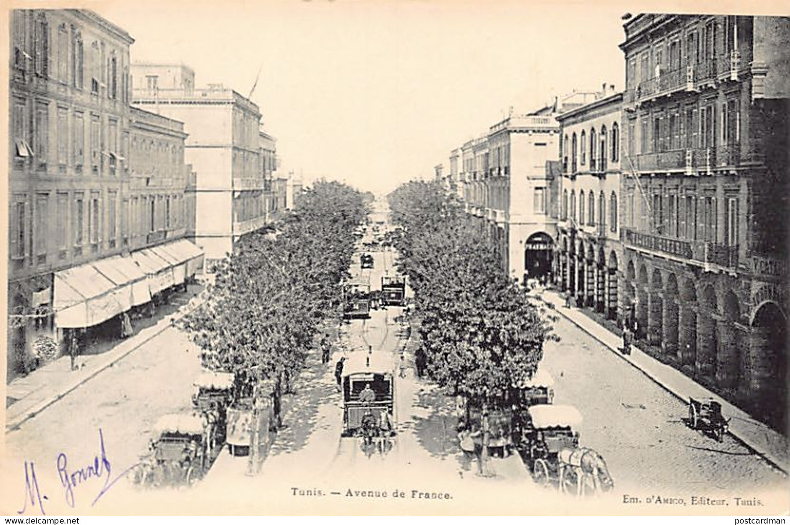 Tunisie - TUNIS - Avenue De France - Ed. Em. D'Amico  - Tunisie