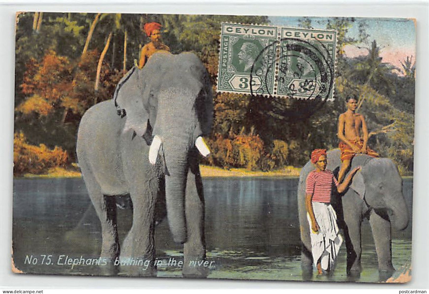 Sri Lanka - Elephants Bathing In The River - Publ. The Colombo Apothecaries 75 - Sri Lanka (Ceylon)