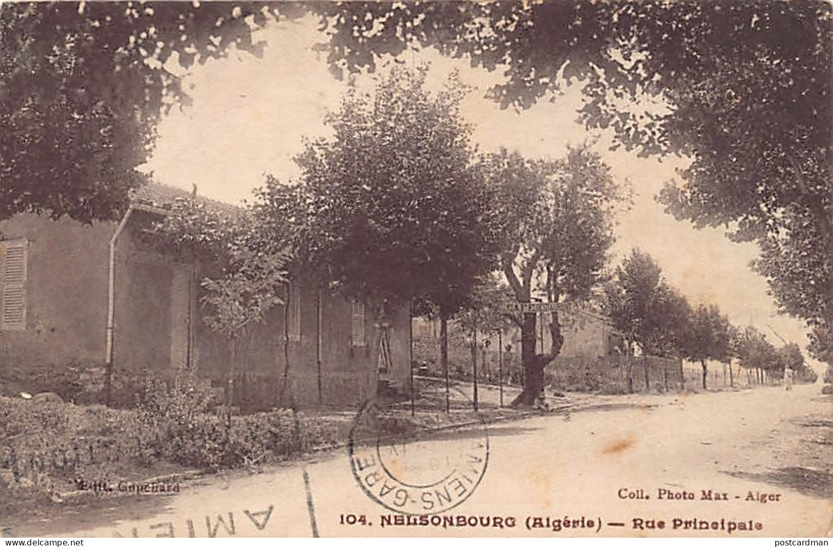 Algérie - NELSONBOURG Si Mahdjoub - Rue Principale - Ed. Copéhard 104 - Other & Unclassified
