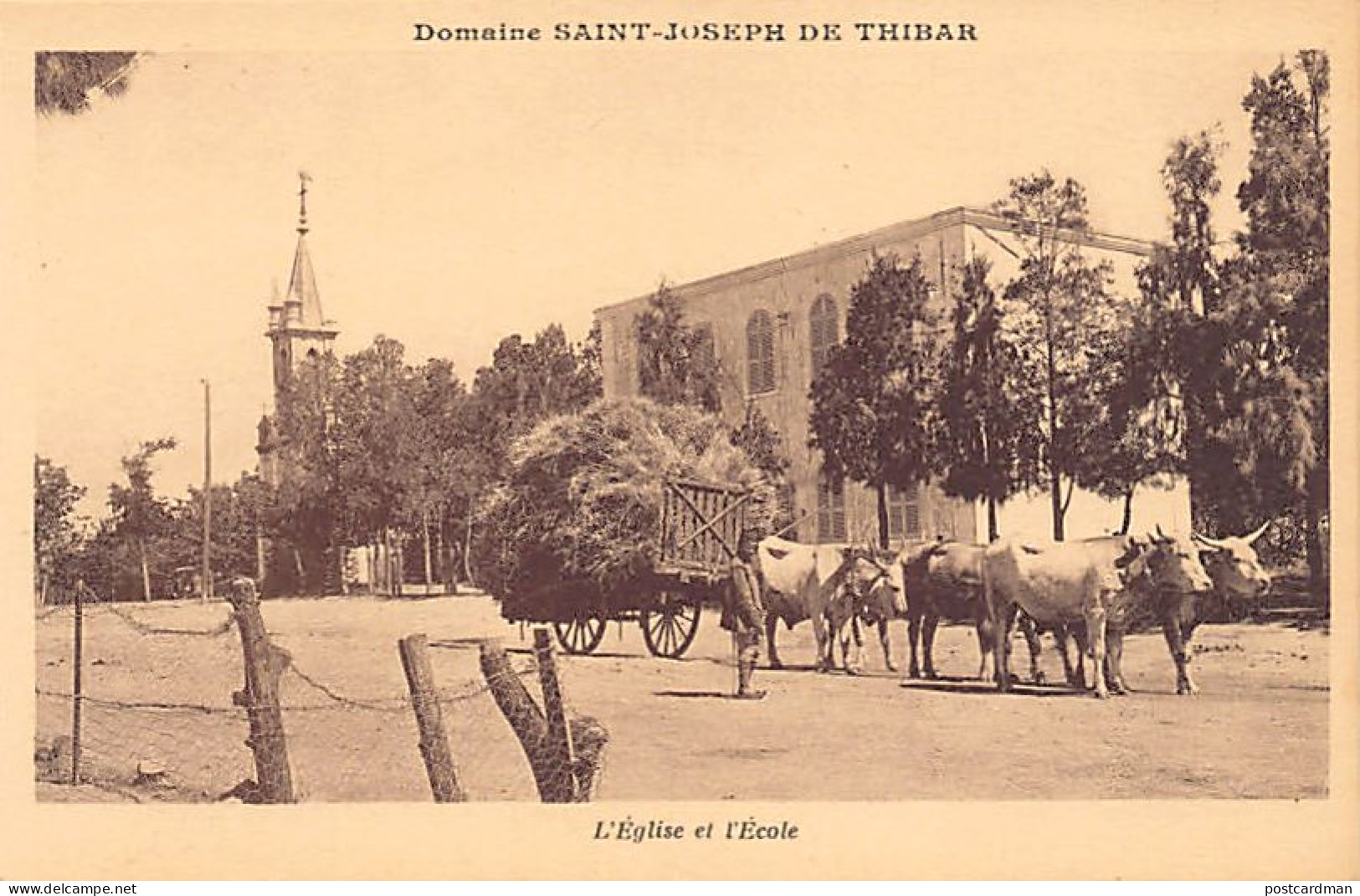 Tunisie - DOMAINE SAINT-JOSEPH DE THIBAR - L'église Et L'école - Ed. Perrin - Tunesien