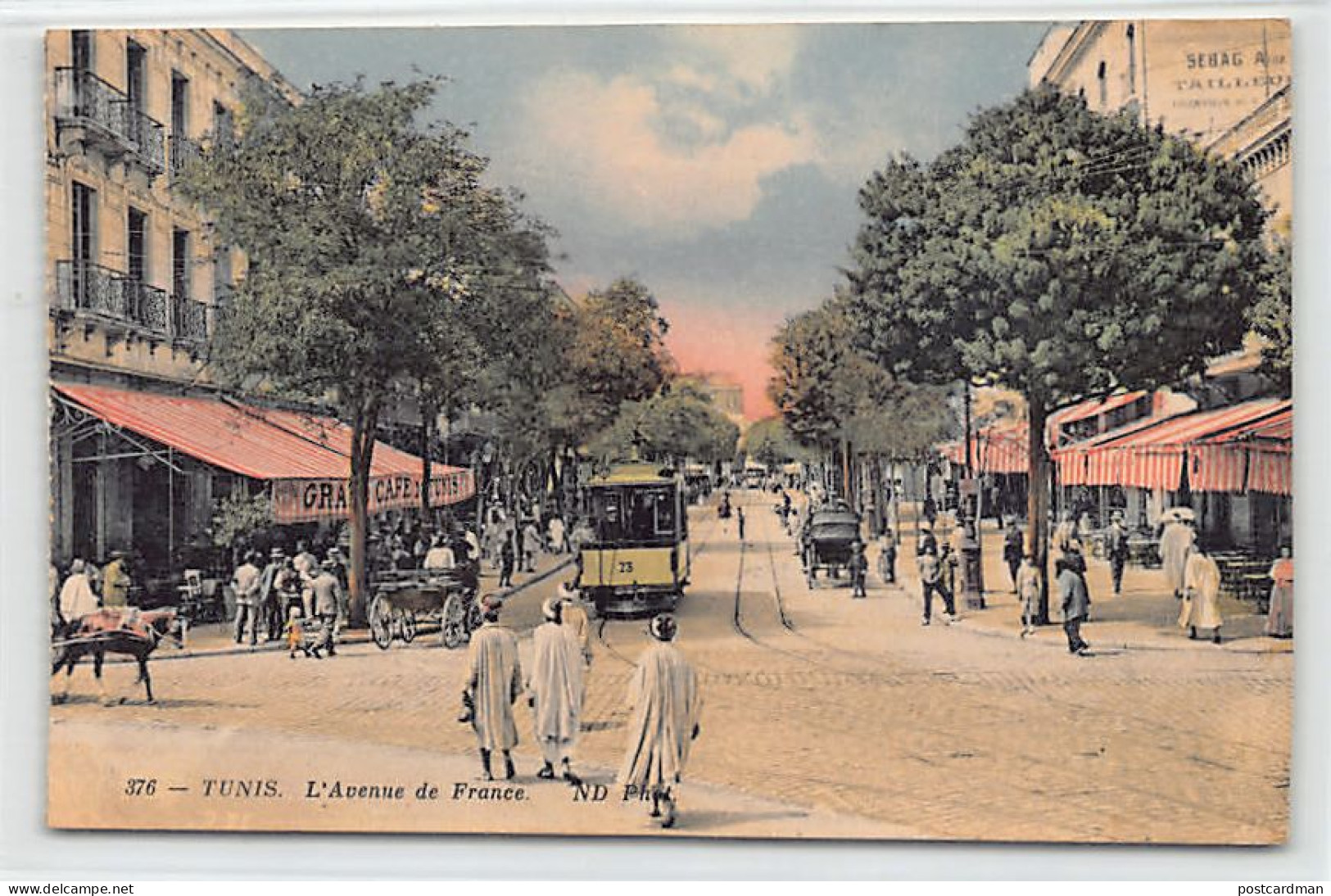 Tunisie - TUNIS - L'Avenue De France - Tramway 73 - Ed. Neurdein ND Phot. 376 - Tunisie