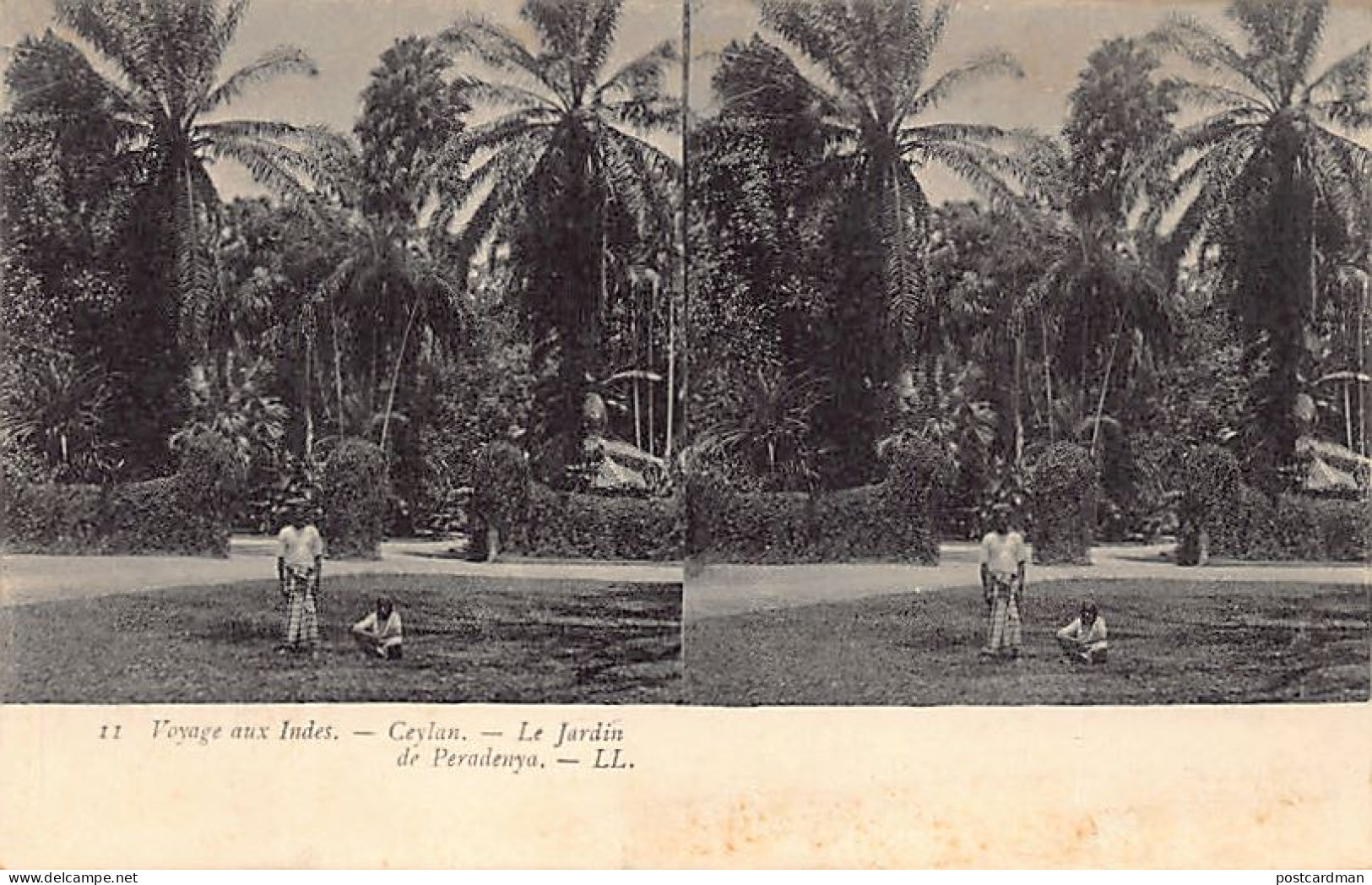 Sri Lanka - PERADENYA - The Garden - STEREO POSTCARD - Publ. LL Levy 11 - Sri Lanka (Ceylon)