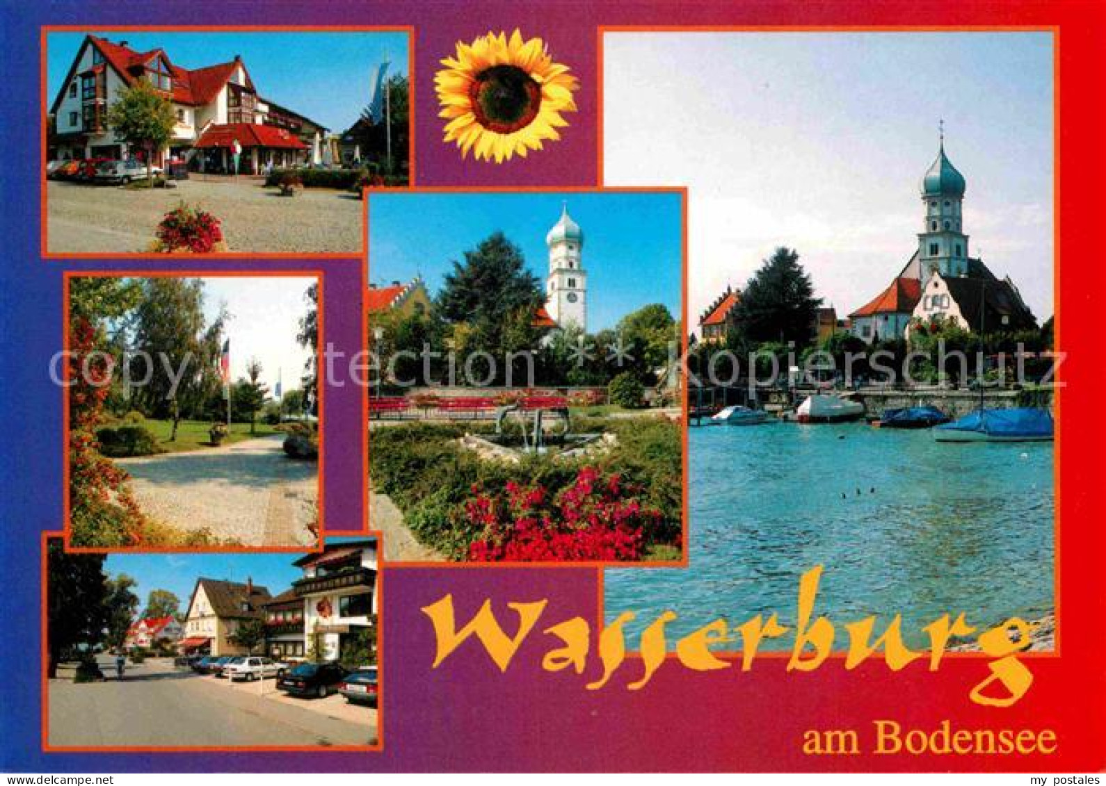 72693016 Wasserburg Bodensee Teilansichten Park Kirche Hafen Sonnenblume Wasserb - Wasserburg A. Bodensee