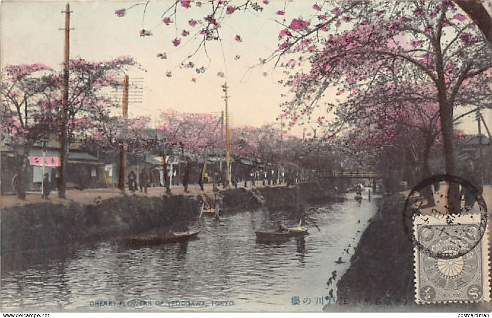 Japan - TOKYO - Cherry Flowers At Yedogawa - Tokio