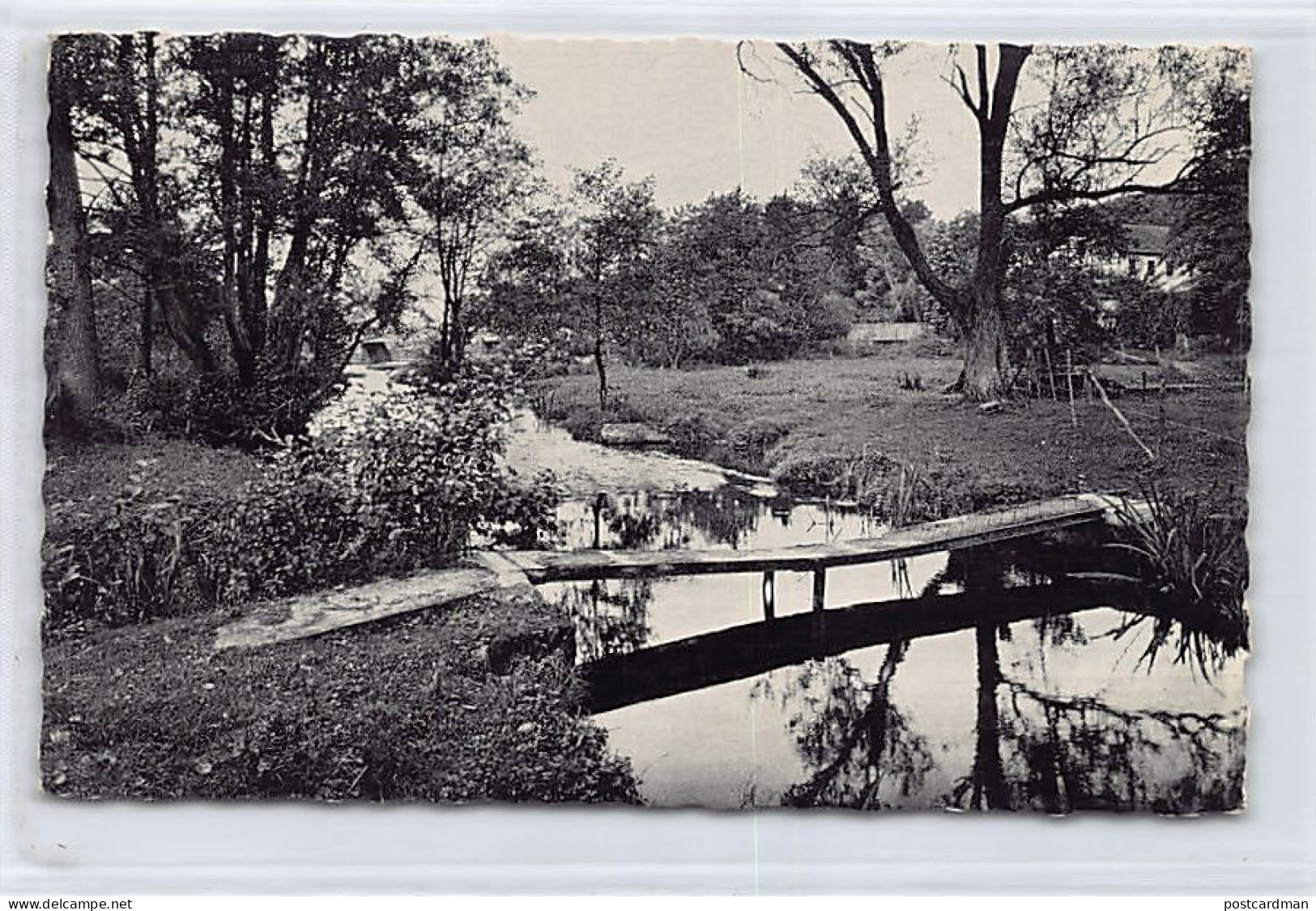 Belgique - RENDEUX (Prov. Lux.) Vallée De L'Ourthe - Passerelle - Rendeux