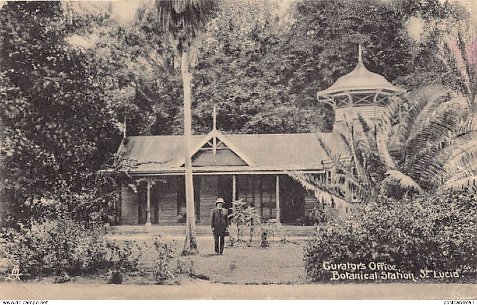 Saint Lucia - CASTRIES - Curator's Office, Botanical Garden - THE POSTCARD IS LIGHTLY UNSTICKED - Publ. Clarke & Co.  - Sainte-Lucie
