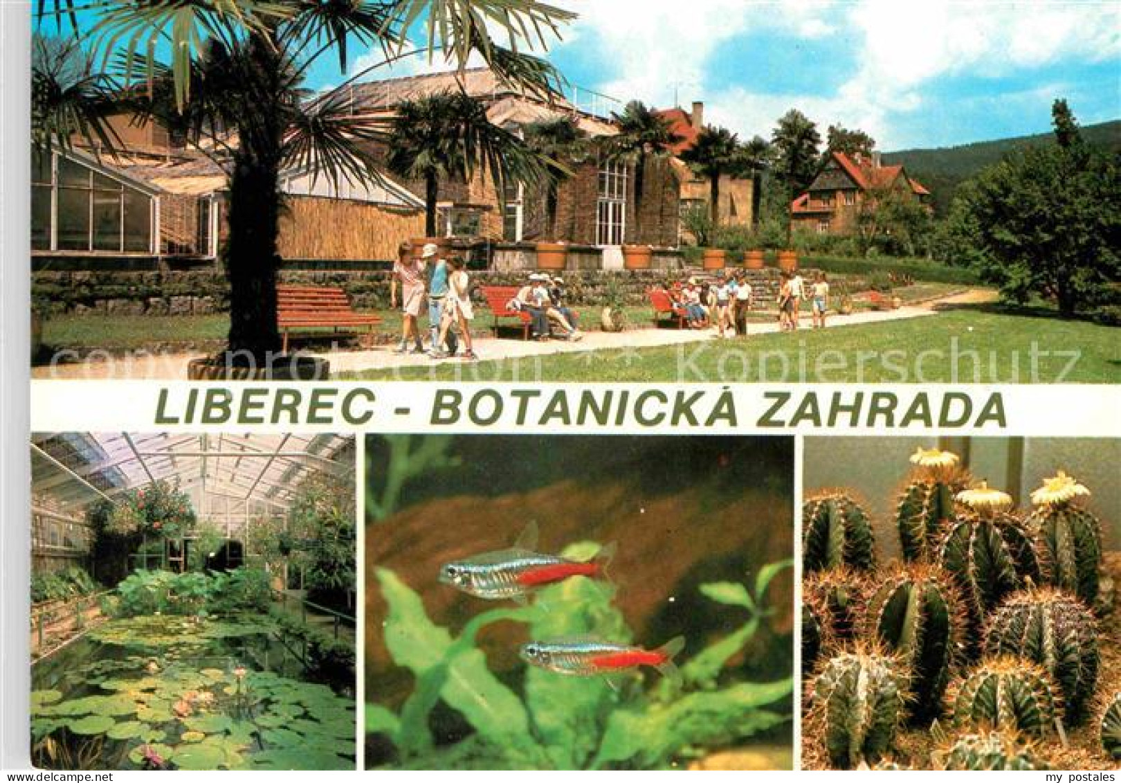 72692699 Liberec Botanicka Zahrada  Liberec - Czech Republic