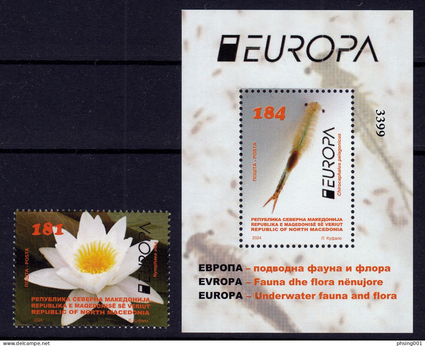 North Macedonia 2024 Europa CEPT Underwater Fauna & Flora Flower Fish Stamp & Block MNH - Nordmazedonien