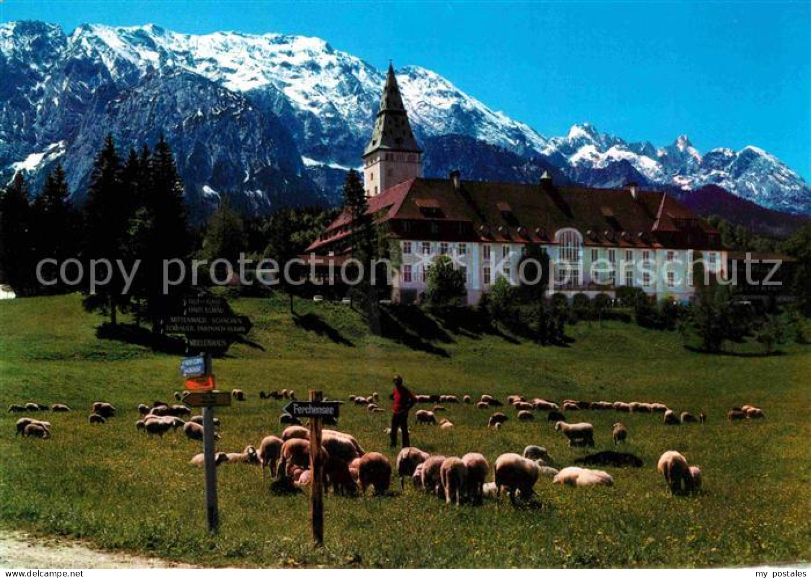 72692307 Elmau Schloss Mit Wettersteingebirge Schafherde Elmau - Altri & Non Classificati