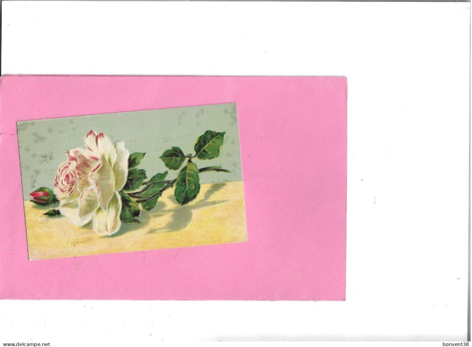 K1505 -  ROSES - Lot De 5 Cartes Postales - Fleurs