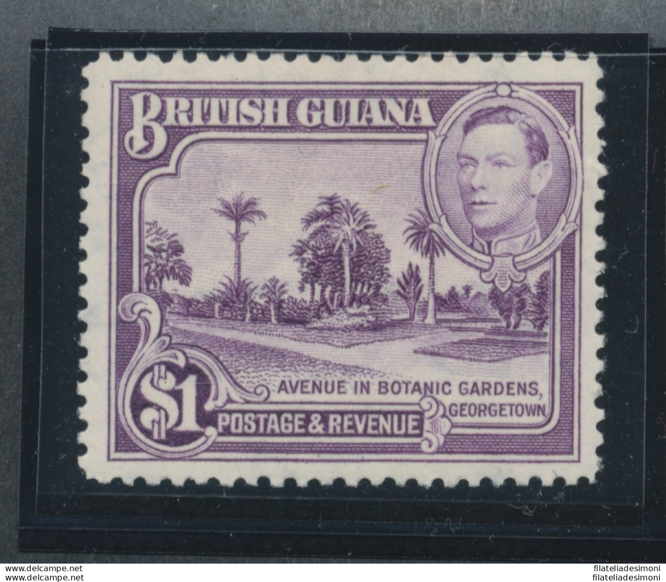 1938-52 BRITISH GUIANA - Stanley Gibbons N. 317 - MNH** - Otros & Sin Clasificación