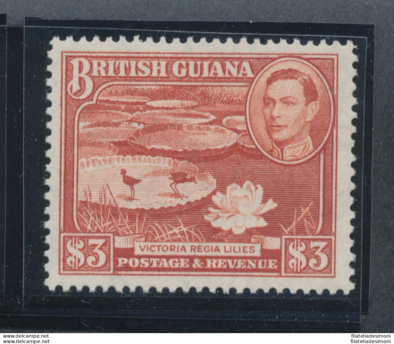 1938-52 BRITISH GUIANA - Stanley Gibbons N. 319 - MNH** - Sonstige & Ohne Zuordnung