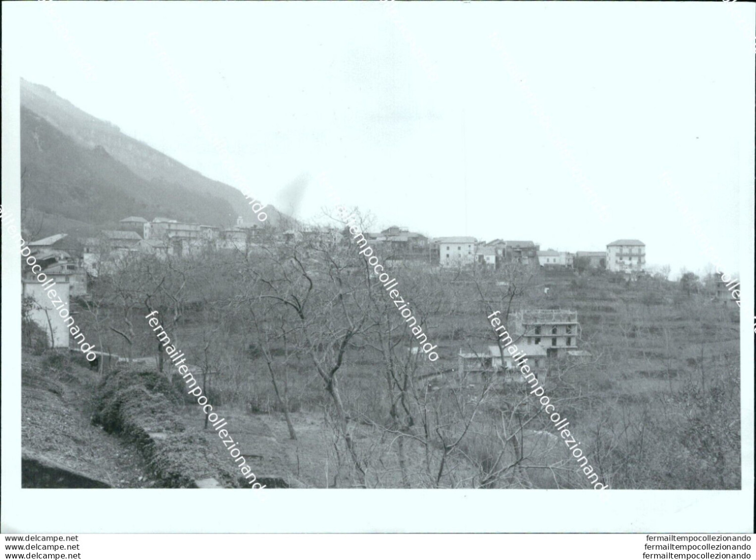 Fo2818  Foto Originale Pimonte Veduta Di Tralia Provincia Di Napoli Campania - Napoli (Napels)