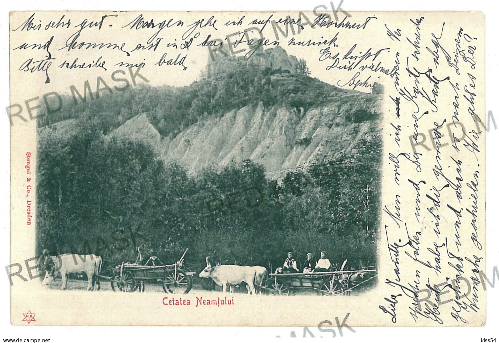 RO 47 - 11672 Cetatea NEAMTULUI, Romania, Ox Carts - Old Postcard - Used - 1902 - Roumanie