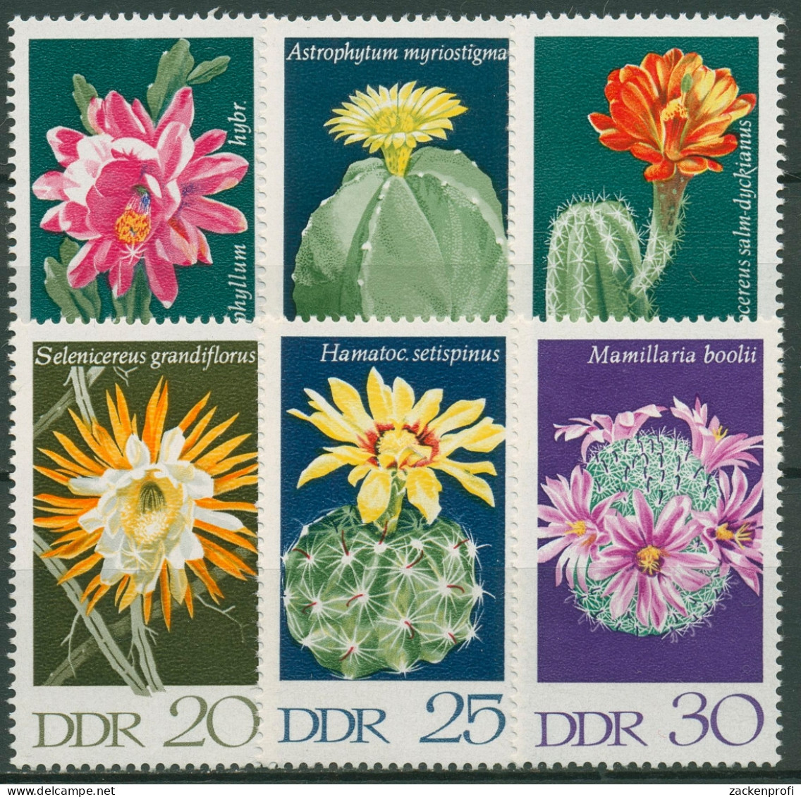 DDR 1970 Pflanzen Kakteen 1625/30 Postfrisch - Unused Stamps