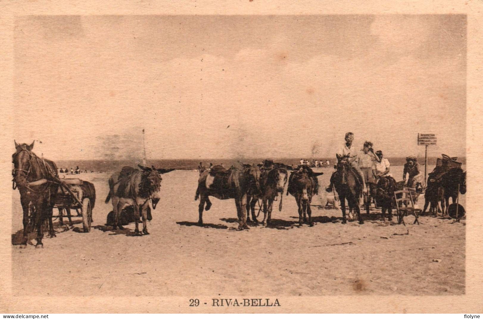 Riva Bella - Ouistreham - Balade En ânes Sur La Plage - Donkey - Riva Bella