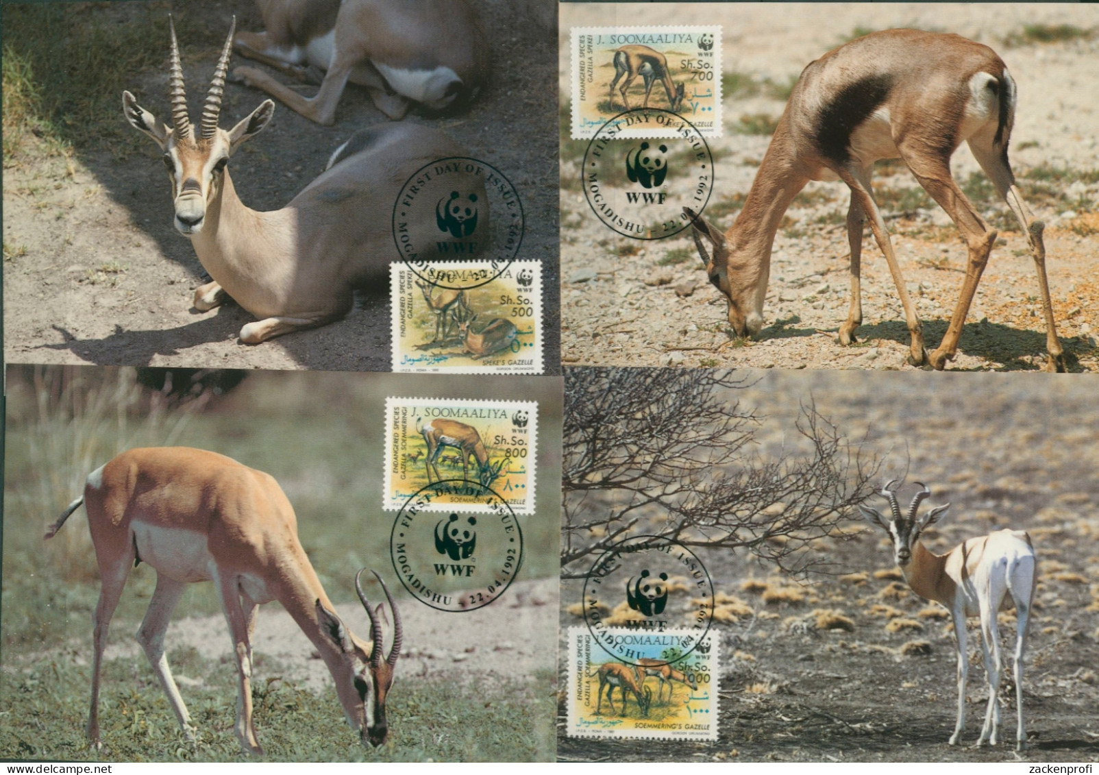 Somalia 1992 WWF Naturschutz Gazellen 436/39 Maximumkarten (X30658) - Somalië (1960-...)