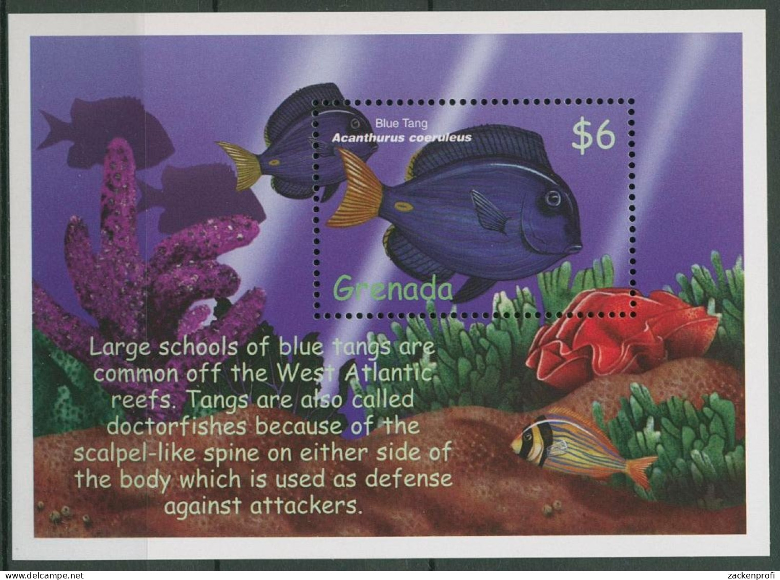 Grenada 2000 Tropische Meerestiere Doktorfisch Block 565 Postfrisch (C94576) - Grenada (1974-...)