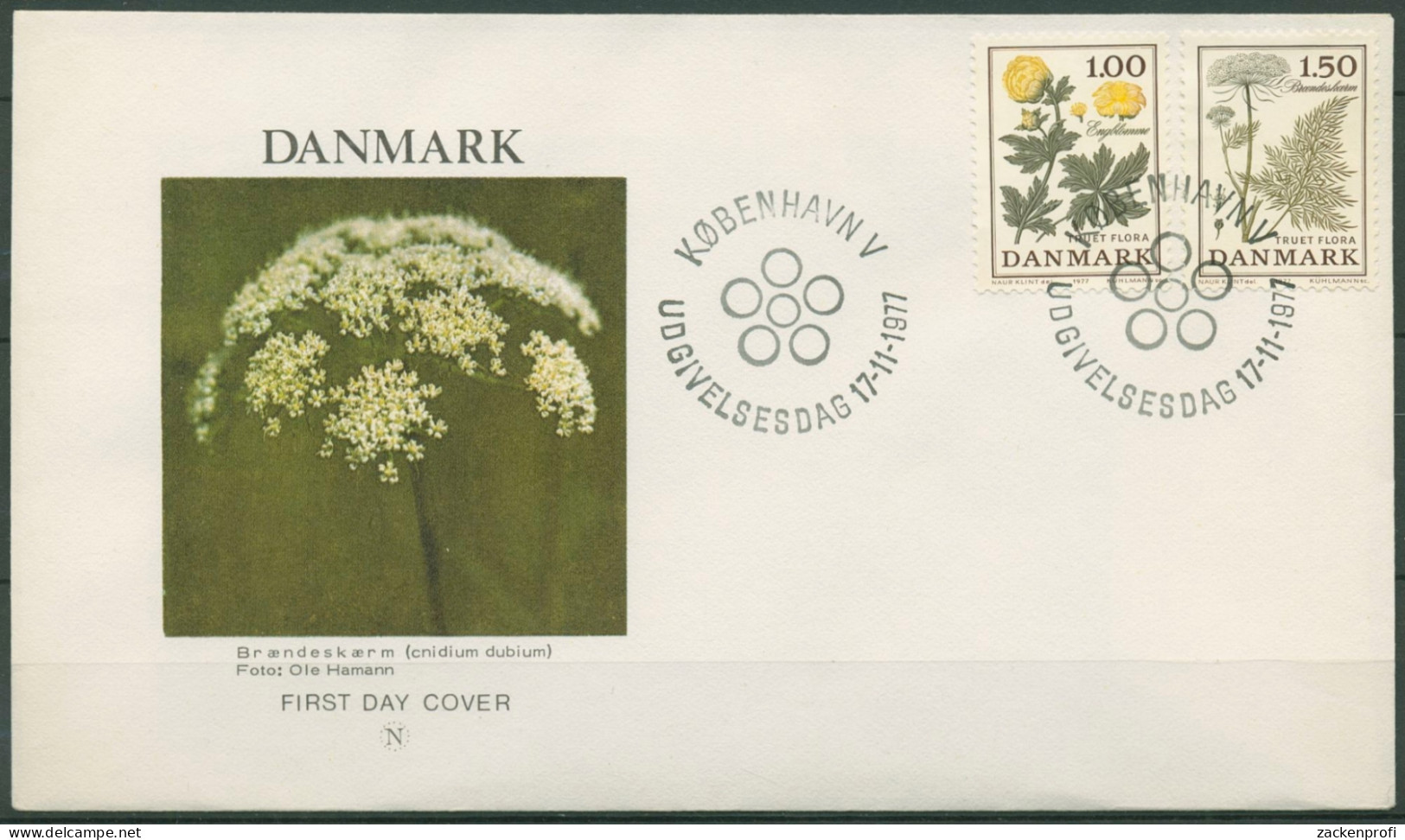 Dänemark 1977 Pflanzen Blumen Ersttagsbrief 653/54 FDC (X96613) - FDC