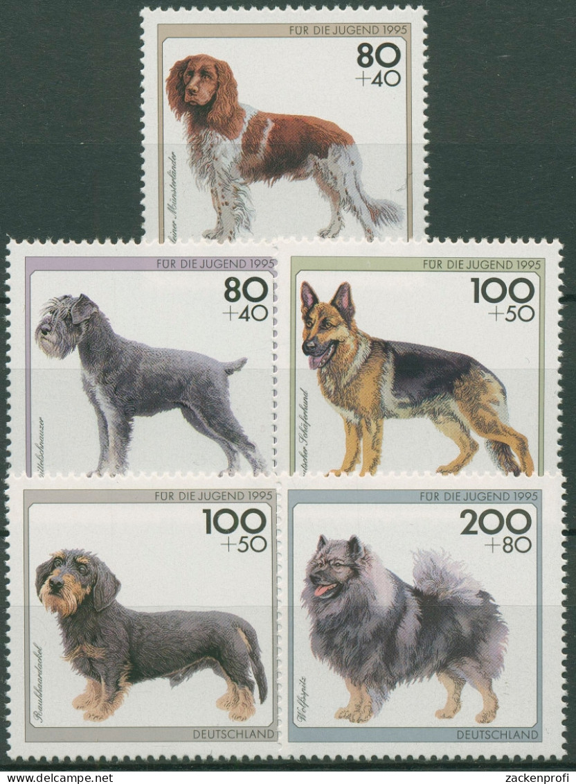 Bund 1995 Jugend: Tiere Hunde Hunderassen 1797/01 Postfrisch - Ungebraucht