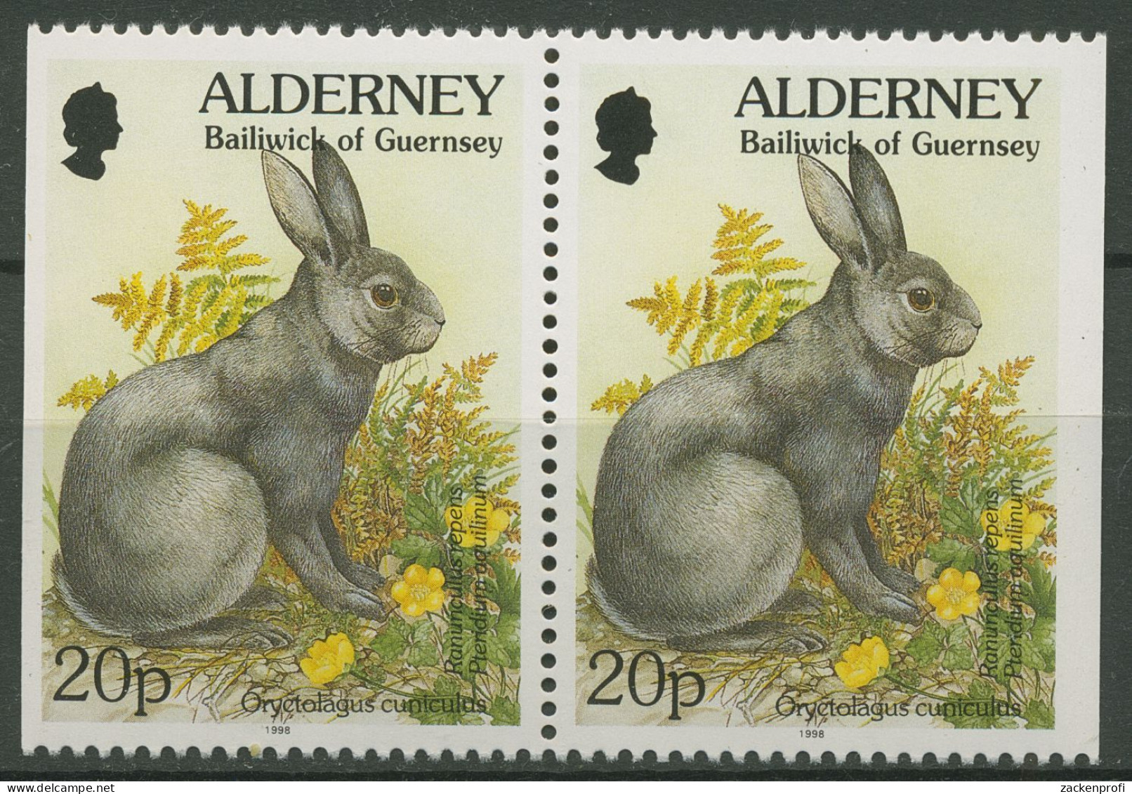 Alderney 1994 Pflanzen Tiere Kaninchen Farn 76 Dl/Dr Paar Postfrisch - Alderney
