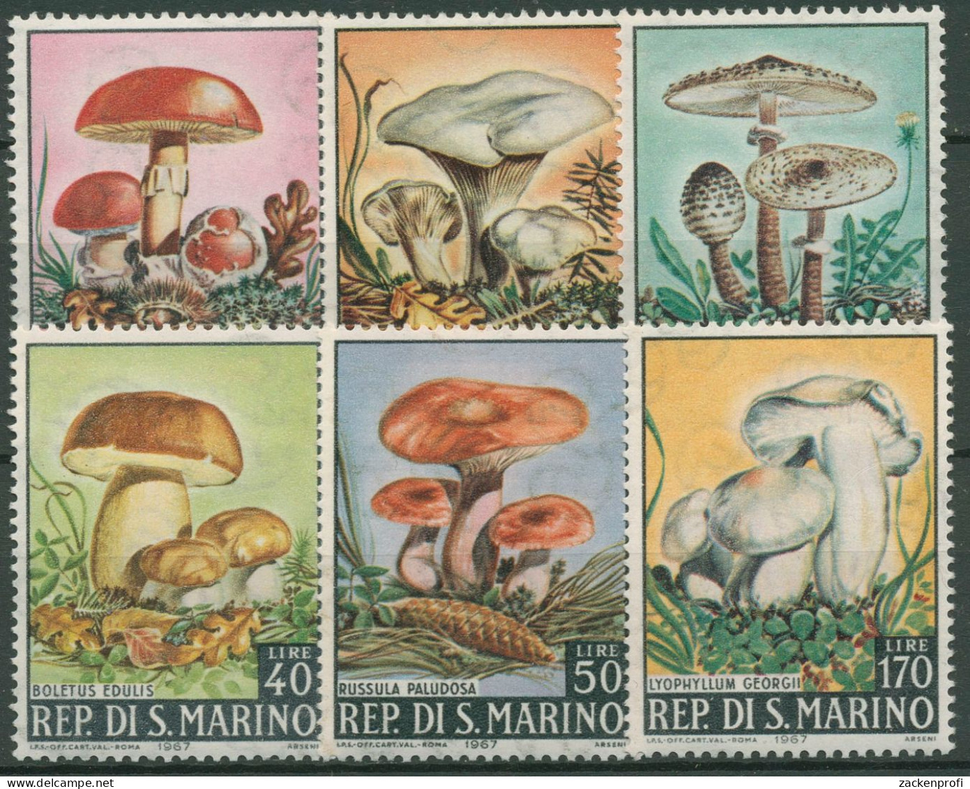 San Marino 1967 Pilze 891/96 Postfrisch - Unused Stamps