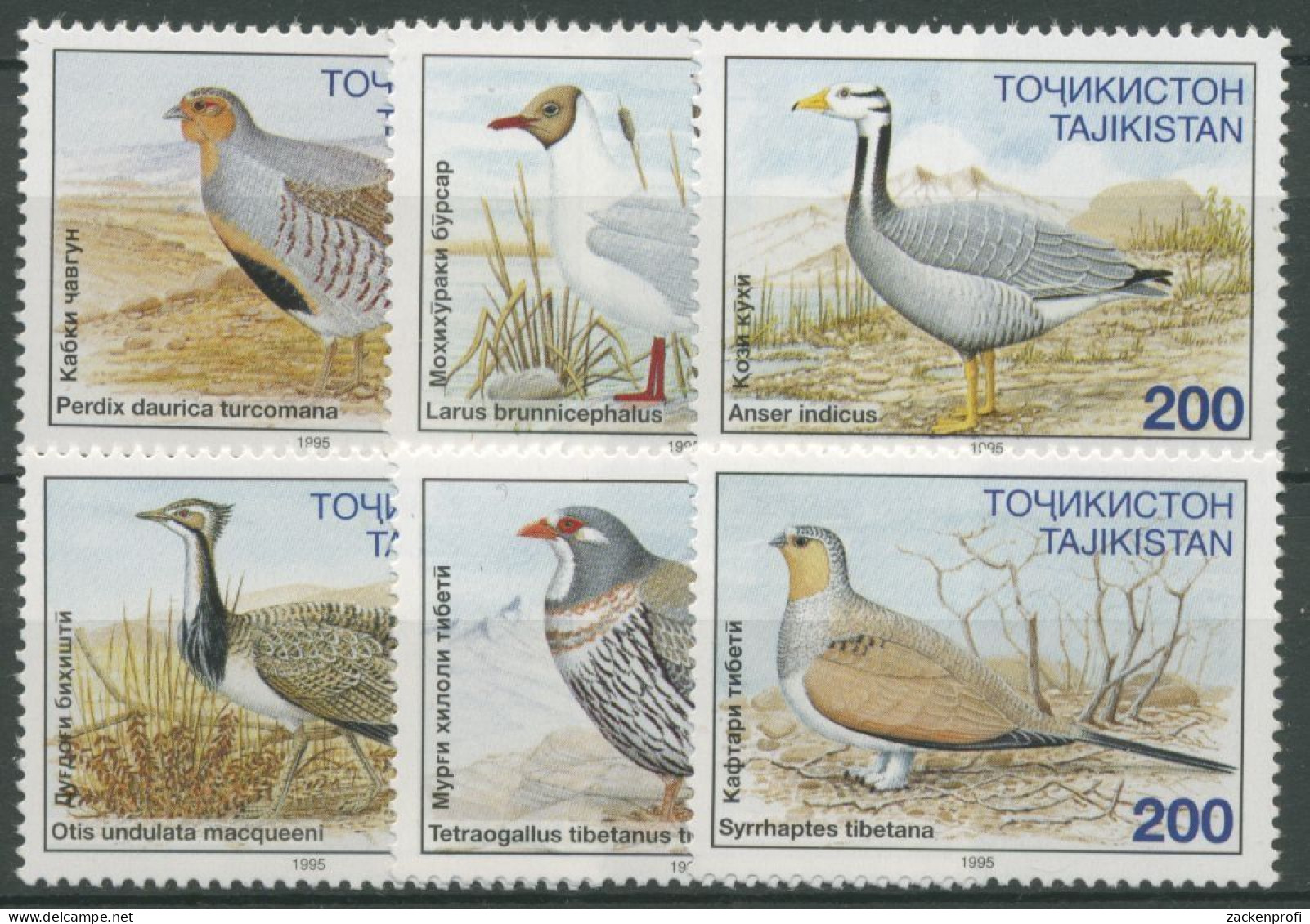 Tadschikistan 1996 Tiere Vögel Huhn Gans Möwe 80/85 Postfrisch - Tadschikistan