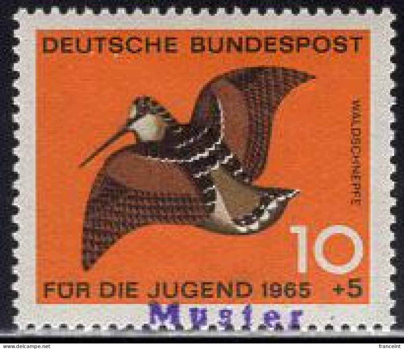 GERMANY(1965) Woodcock. MUSTER (specimen) Overprint. Scott No B404. - Other & Unclassified