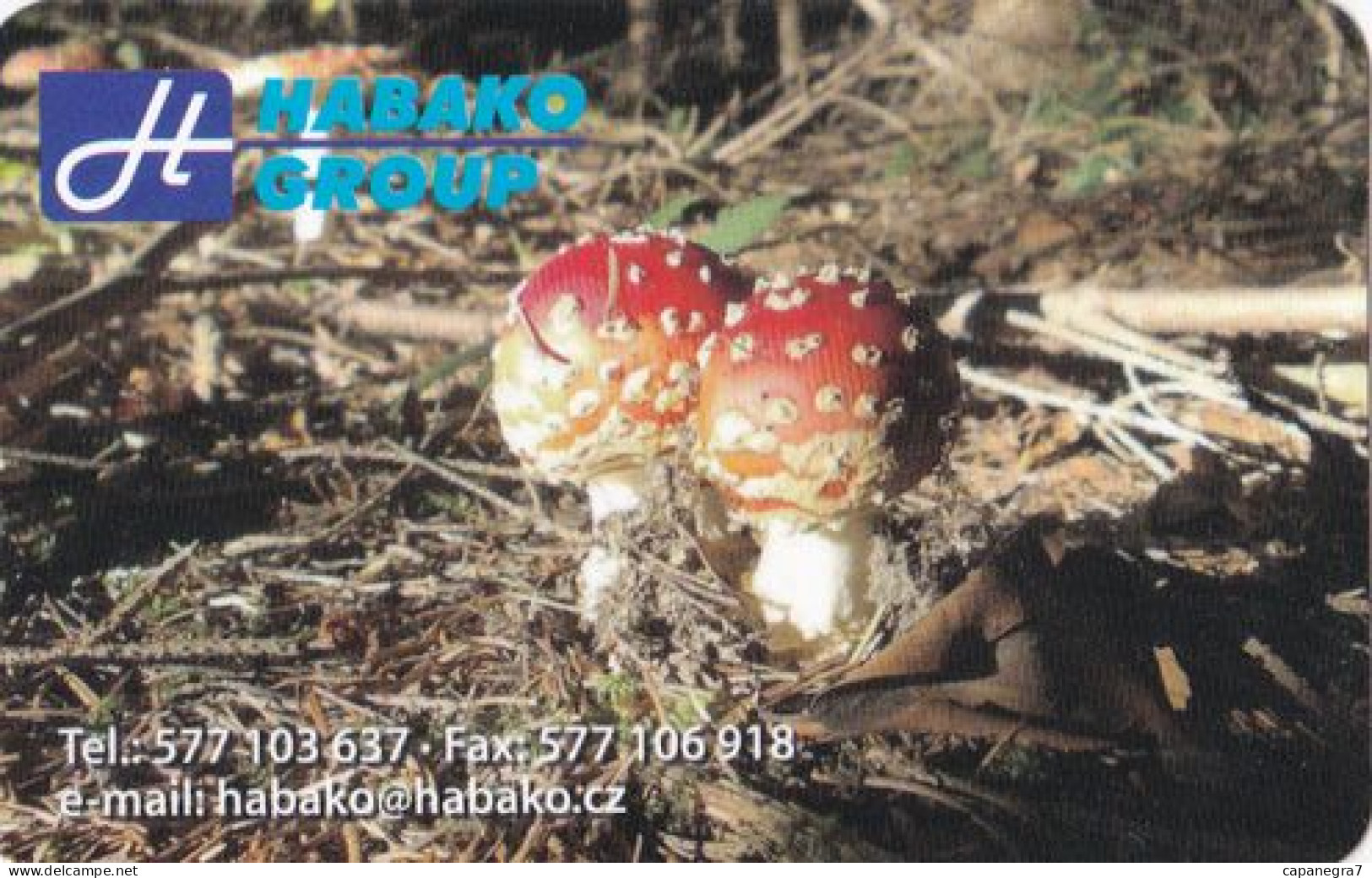 Amanita Muscaria, Mushrooms, Czech Rep., 2015, 85 X 55 Mm - Klein Formaat: 2001-...