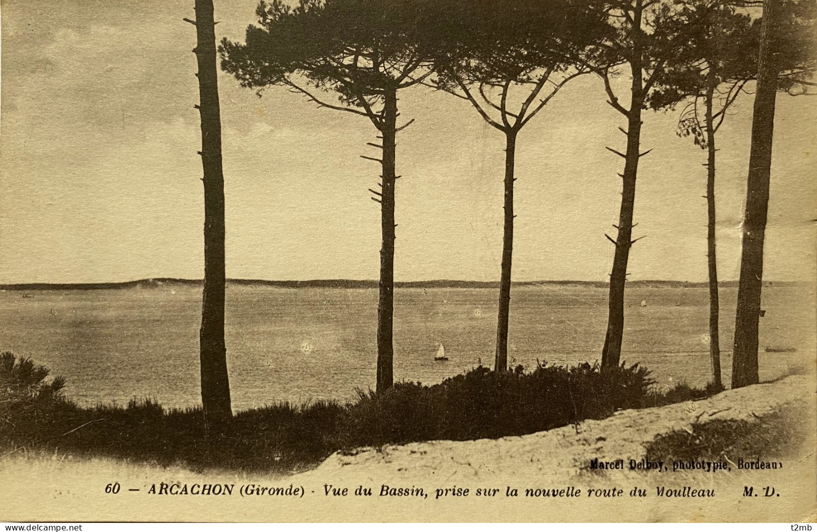 CPA (Gironde) ARCACHON - Vue Du Bassin, Prise Sur La Nouvelle Route Du Moulleau (n° 60) - Arcachon