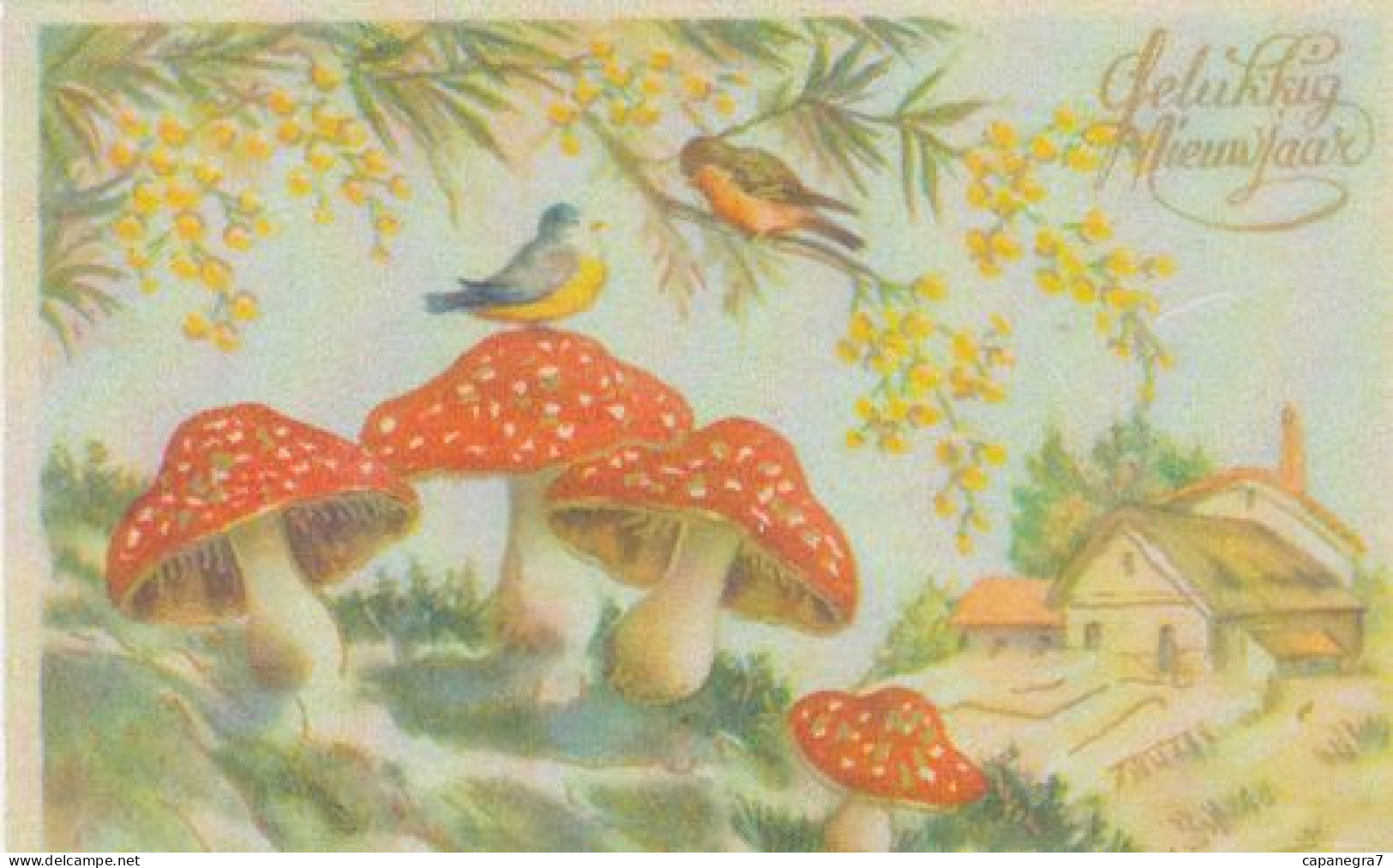 Amanita Muscaria, Mushrooms, Czech Rep., 2010, 85 X 55 Mm - Petit Format : 2001-...