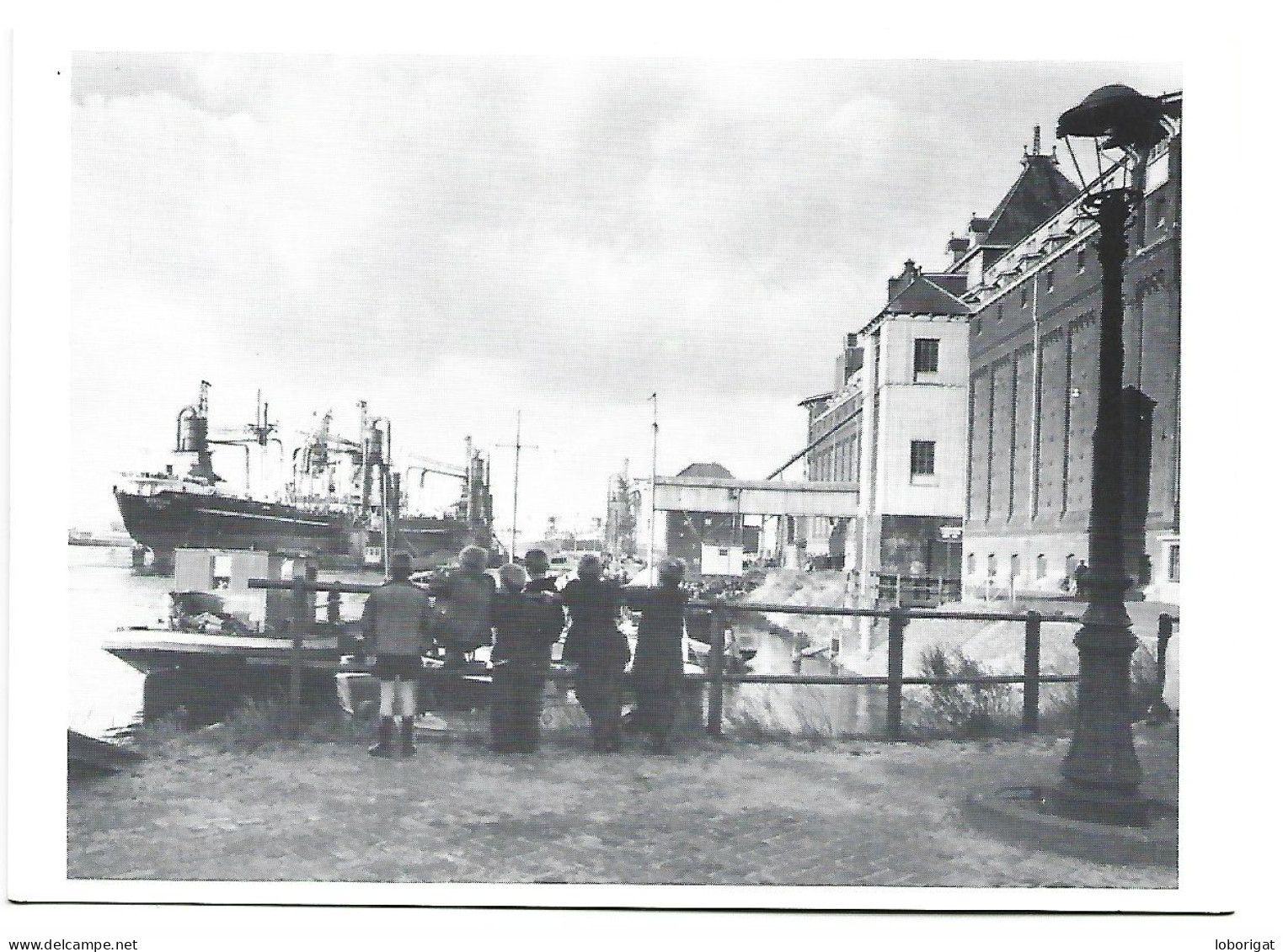 GRAANOVERSLAG IN DE HAVEN VAN AMSTERDAM.- SCHEEPVAART MUSEUM.- AMSTERDAM.- ( HOLANDA ) - Amsterdam