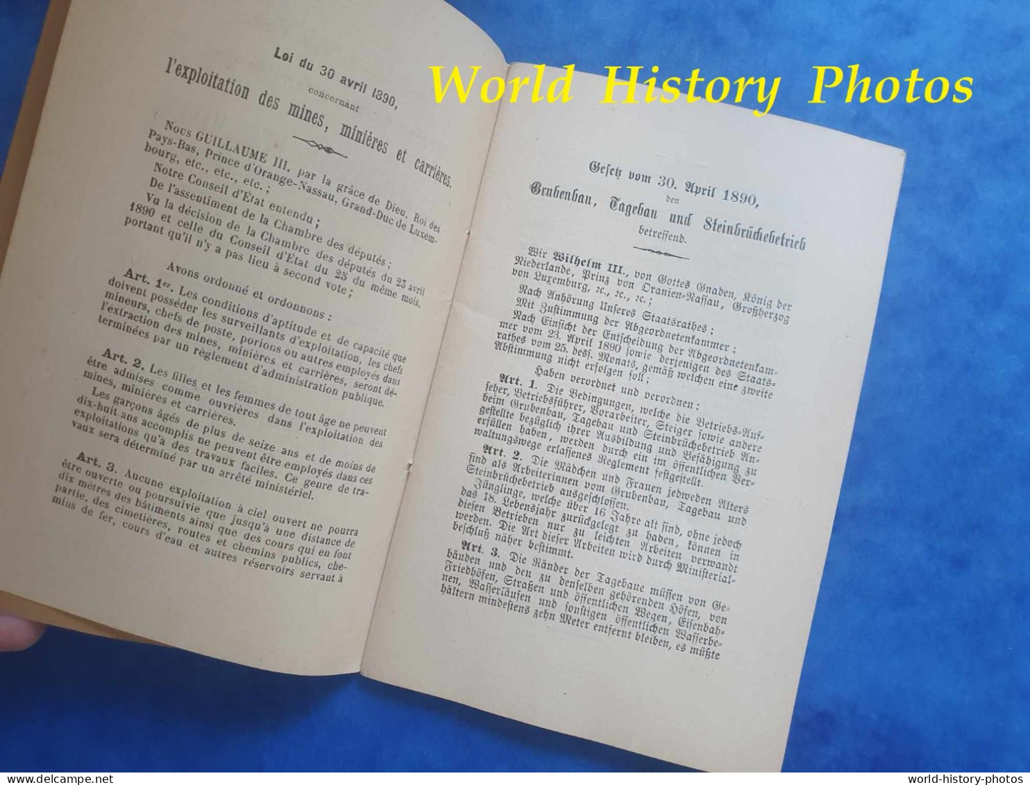 Livre De 1891 - LUXEMBOURG - Exploitation De Mine & Carriére - Imprimerie De La Cour V. Buck - Mineur Carrier Königstein - Unclassified