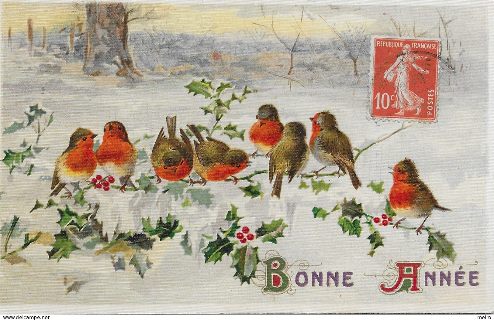 CP- BONNE ANNÉE - Petits Oiseaux Au Plumage Rougeâtre- ( Écrit En 5 Janvier 1913 ) - Nouvel An